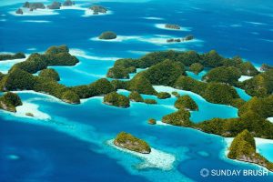 Blogfoto - Sunday Brush - Palau verbiedt zonnebrand met oxybenzone